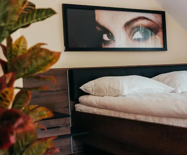 Willa Zarabie Myślenice